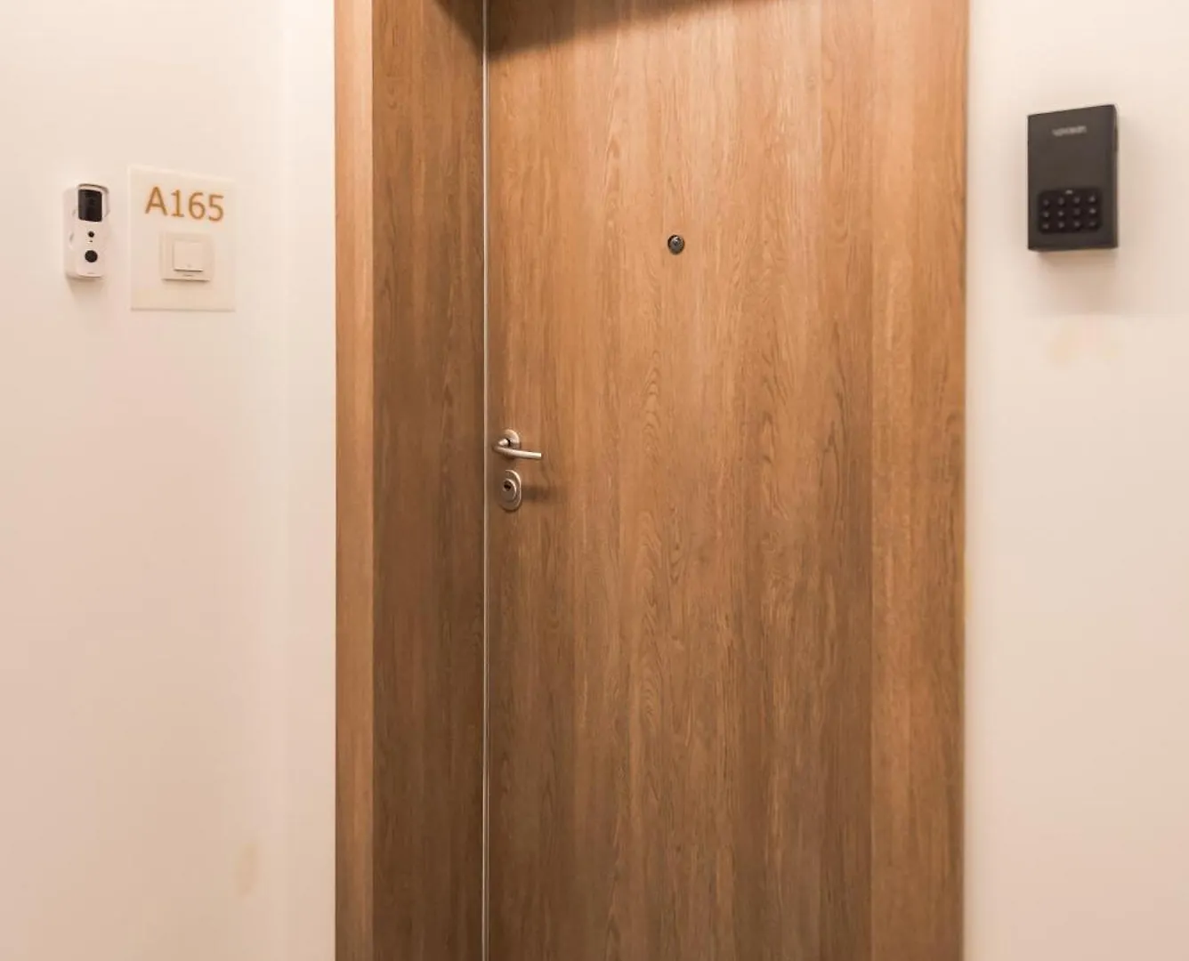 Vanda - Park-View Apartment With Private Balcony 布加勒斯特